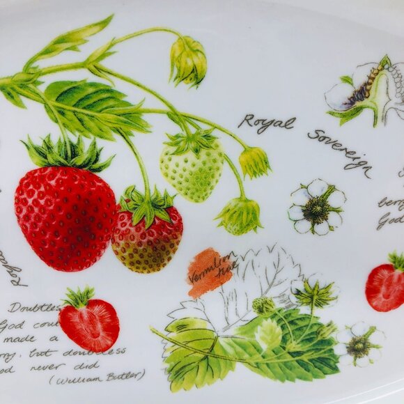 Kent Pottery New Fruit Collection Strawberry Baking Au Gratin Dish Cottagecore - Picture 4 of 12